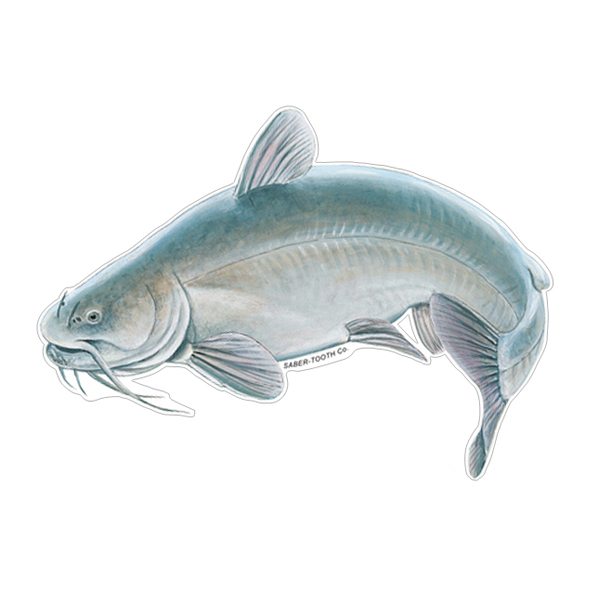 Blue Catfish Style-B Fish Decals