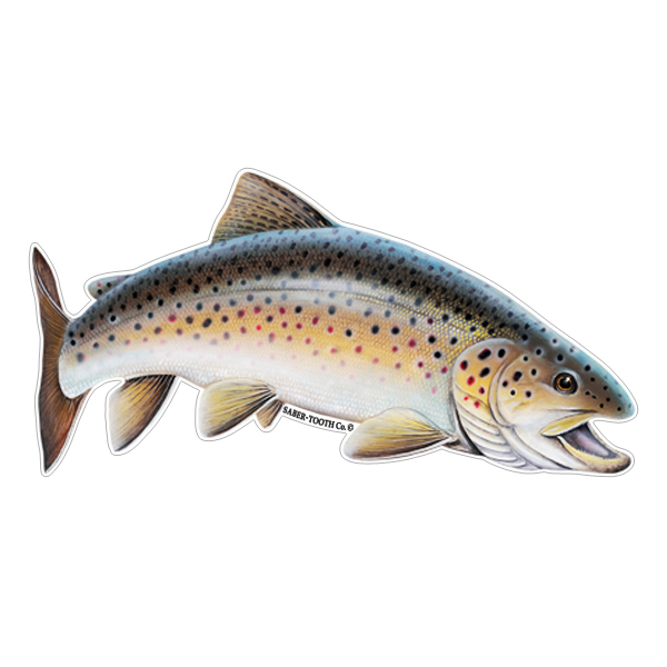 Details about   YETI Trout Fishing Graphic Die Cut decal sticker Car Truck Boat Window 12" 