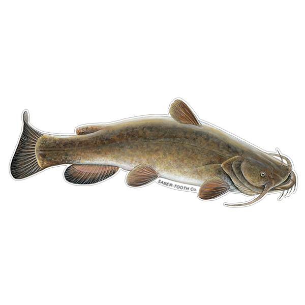 Flathead Catfish Fish Decals & Stickers