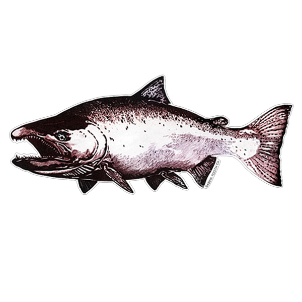 Silhouette King Salmon Fish Decals
