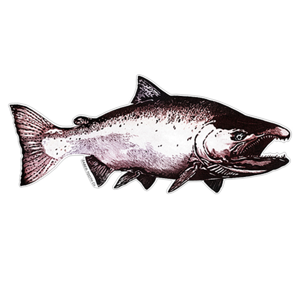 Grey Threadfin Salmon, King Salmon Boat Decals, Fishing Stickers