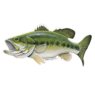 Largemouth Bass Fish Decals & Stickers | Saber-Tooth Co.