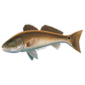 Largemouth Bass Fish Decals & Stickers