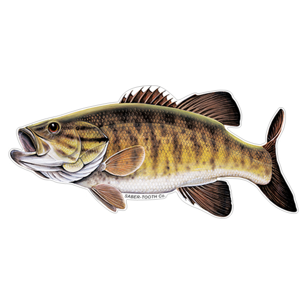 Bass Sticker 12 inch fish PAIR Left and Right