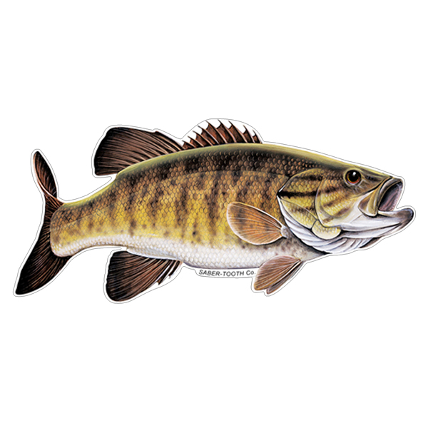 Smallmouth Bass Fish Decals and Stickers