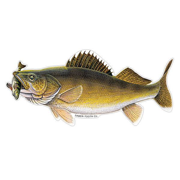 Walleye with Perch Fish Decals & Stickers
