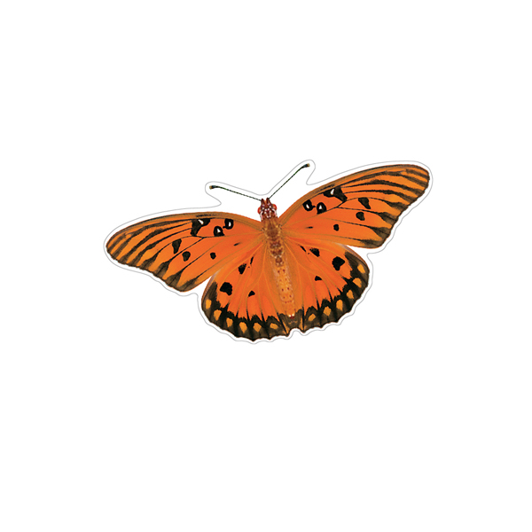 Gulf Fritillary Butterfly Decals - Saber-Tooth Co.