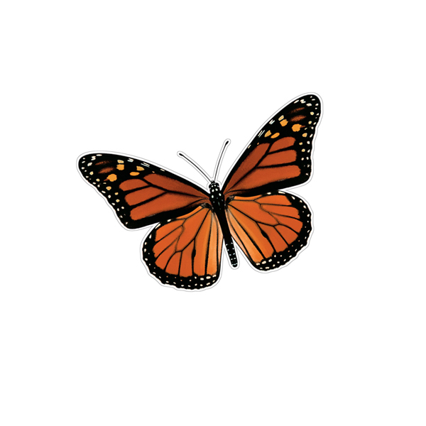 Monarch Butterfly Decals
